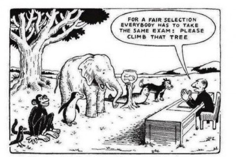 education-system-500x371