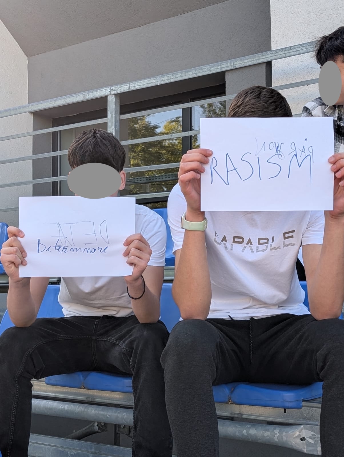Ambasadori ai Incluziunii în timpul unei activități